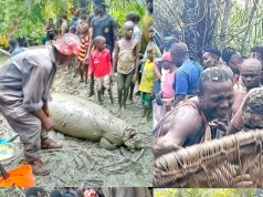 Manatee Caught at Oloibiri Fishing Festival as Bayelsa Communities Honour, Unity, and Heritage.