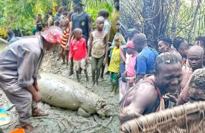 Manatee Caught at Oloibiri Fishing Festival as Bayelsa Communities Honour, Unity, and Heritage.