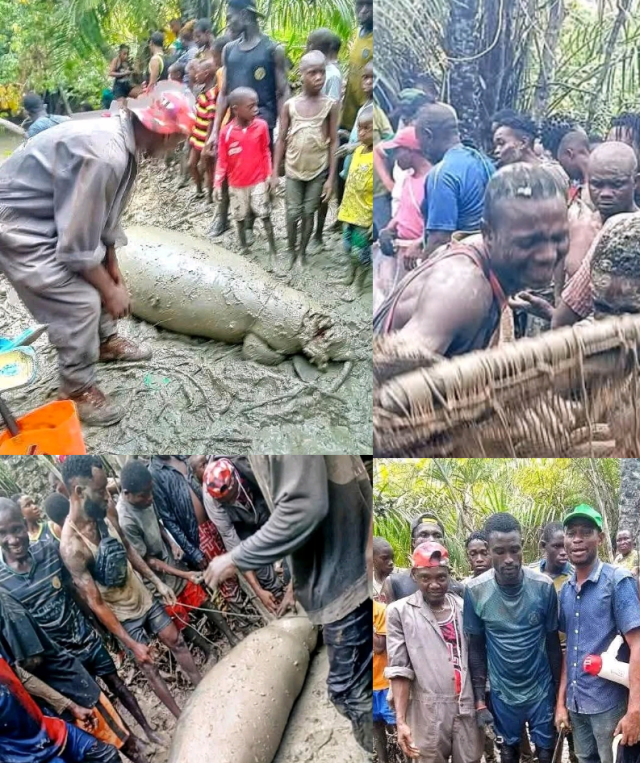 Flyerwiz_1746888657468~4